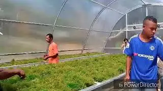 Preservation of Seaweeds Drying Using Solar Dryer