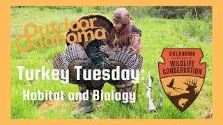 EP 1: Turkey Tuesday: Biology and Habitat | Learn To Hunt