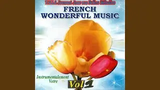 Je t'aime moi non plus (Instrumental)