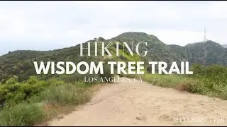 Hiking Wisdom Tree Trail | LA's Most Popular Hike | 360 Degree Views