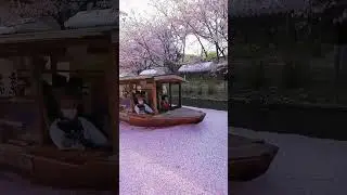 Fushimi Jukkokubune Kyoto  🇯🇵 ⛩🌸 📷..., Japan