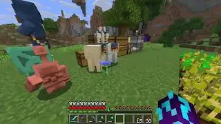 Minecraft Java Gameplay #11