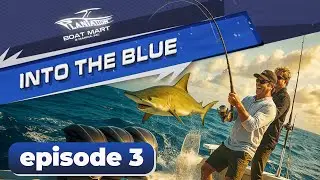 Yellowtail Snapper & Lemon Shark | Into The Blue S16E3 | Fishing Videos