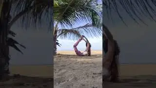 Yoga for Beginners 🧘🤸&zwj;♀️ Easy Yoga at Home #391