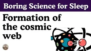 How the Universe Made a Giant Web, Because Why Not?