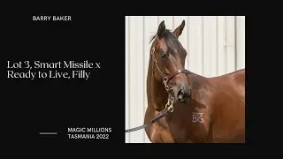 Lot 3 Smart Missile x Ready to Live Filly from Barry Baker