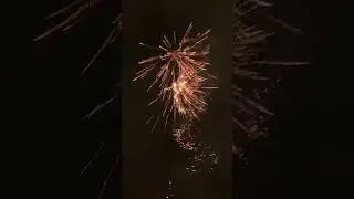 Special willow stars Oud en Nieuw 2024-25