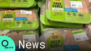 Why Is Chicken Getting so Expensive?