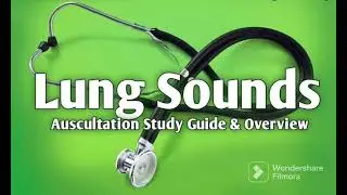 Different lungs sounds | Normal lungs sound | Tracheal breath sound and whispered breath sound #2023