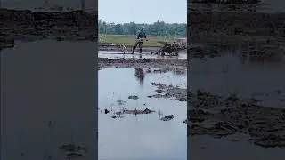 Traktor sawah