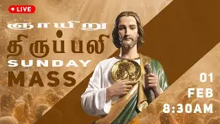 🔴LIVE: Tamil Holy Mass | Sunday 01/02/2026 8:30 AM  | St. Jude's Shrine | Coimbatore