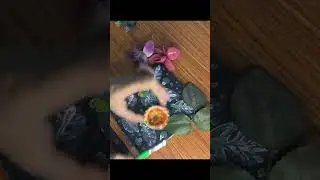 DIY painting a DIYa - pun intended #shorts #paint #art #creative #diy