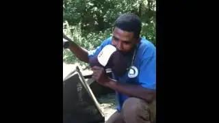 Tamirao