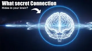 Quantum Entanglement in the Brain: Are We Non-Local Beings?