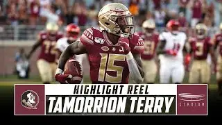 Florida State WR Tamorrion Terry Highlight Reel - 2019 Season | Stadium
