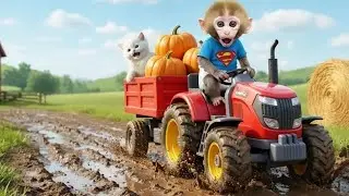 Урожай тыкв у обезьянки Зуки превращается в хаос! Кот застревает на дереве &mdash; его умное спасение ш...