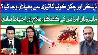 Dengue & Chikungunya Surge in Pakistan: Causes, Treatment & Prevention Explained | Dunya BOL Hai