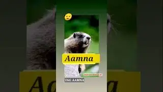Aamna Name 😂#aamna  #status #statusvideo #funnyvideo #firstshortvideo #whatsappstatus #comedy #meme