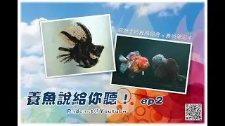 天天換水，天天100％換水，好嗎？可行嗎？