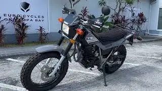 2021 Yamaha TW200 in Radical Grey at Euro Cycles of Tampa Bay Florida