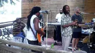 profile reggae band
