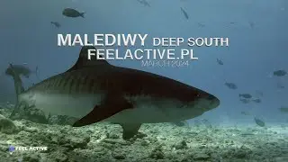 Malediwy deep south 24