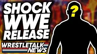 WWE Contract Terminated! AEW New Title Controversy! AEW Dynamite Review! | WrestleTalk
