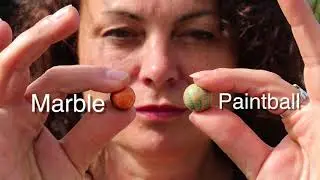 Reward offered in search for person who shot players with marbles