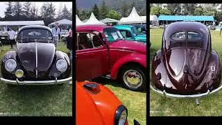 AUTOS DE LUJO, COLECCIÓN, DEPORTIVOS Y ANTIGUOS |Gran Concurso Internacional de la Elegancia 2025
