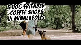 Dog Friendly Coffee ☕ shops in Minneapolis
