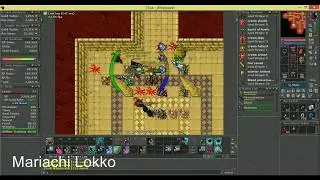 Sorcerer, Druid, Mage low level hunt 550k/h, Peninsula Tomb, Ankhramun.