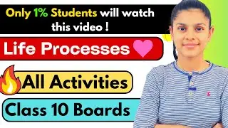 Life Processes Class 10 - All Activities in one video 🔥😎 Yha se aayege questions !!