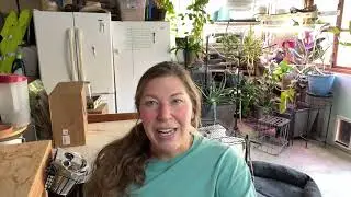 Homestead chat-Eating Gluten Free, Some wisdom from a 