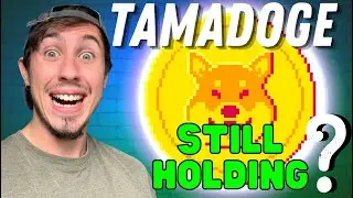 ПРОГНОЗ ЦЕНЫ КРИПТОВАЛЮТЫ Tamadoge | TAMA составит $0,03?