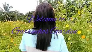 #organicallygrown#ginger