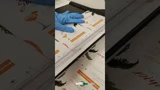 secret on how we make our cuts so straight