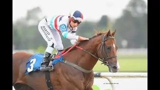 Handicap Val D'Or 2025 - Ilustrado (Cosmic Trigger)
