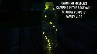 Family Time Catching Fireflies in our Backyard -Making a Firefly Lantern - Camping & Shadow Puppets