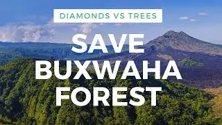 Save Buxwaha Forest | Buxwaha Forest Protest | Diamond Mining | Madhya Pradesh | By Samarth Pophale