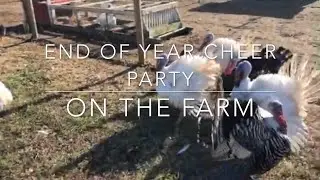 Cheer End of Year Party on the Farm