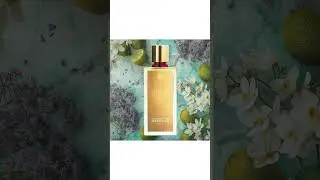 🌿 TILIA by Marc-Antoine Barrois &ndash; Ein Duft, der den Sommer einf&auml;ngt! ✨ #TILIA #MarcAntoineBarrois