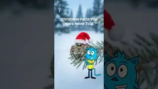 Christmas Facts You Were Never Told #christmas #shorts #funfacts