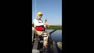 Chain Pickerel Kayak Fishing Figure 8! #fishing #fish #fishingvideo #kayakfishing #chainpickerel