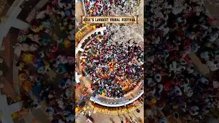 ✨🙏 Medaram Sammakka Saralamma Jatara 2026 🙏✨ #medaramjatara #sammakkasaraka #ytshorts