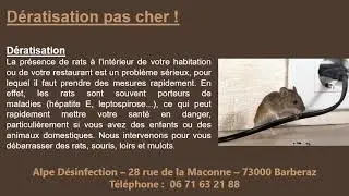 D&eacute;ratisation pas cher &agrave; Chignin