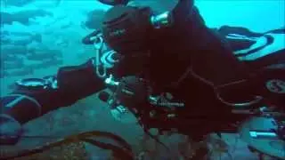 A year and a bit in Sidemount