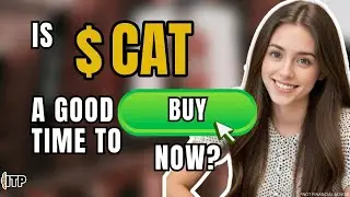 Is Caterpillar CAT Stock a Good Time to Buy Now? | August 2025 | Stock Analysis Podcast