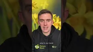 National Plant A Flower Day  #newsforkids #education #picturenews