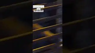 Крысы в Хошимине Вьетнам / Rats in Ho Chi Minh Vietnam