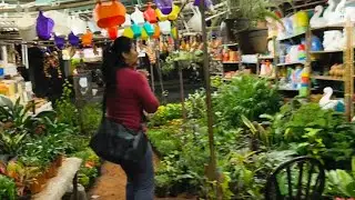 Nursery vlog # f3#fun